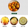 【包邮】广西融安第三代脆蜜金桔，果大饱满，无籽，皮薄脆爽，糖度高，平均在20度以上，带皮吃不涩口不麻嘴 商品缩略图6