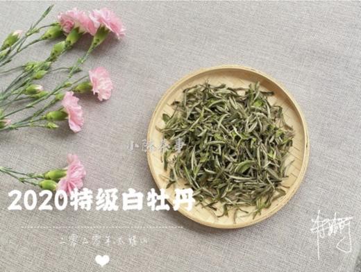 【收藏装】2020高山牡丹王《春望》，倒春寒里难得的盛世美颜！ 商品图0