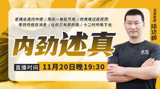 陆功翰传武秘籍第七期——内劲述真 商品图0