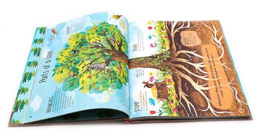 英文原版 树木的奥秘 The Magic and Mystery of Trees DK儿童百科科普读物绘本 全英文版 商品图1