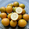 【包邮】广西融安第三代脆蜜金桔，果大饱满，无籽，皮薄脆爽，糖度高，平均在20度以上，带皮吃不涩口不麻嘴 商品缩略图4