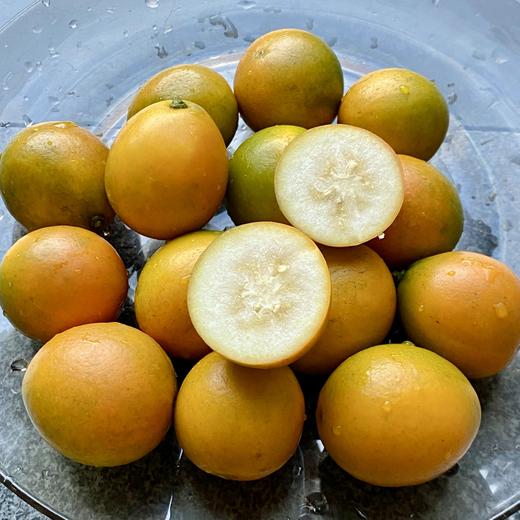 【包邮】广西融安第三代脆蜜金桔，果大饱满，无籽，皮薄脆爽，糖度高，平均在20度以上，带皮吃不涩口不麻嘴 商品图4