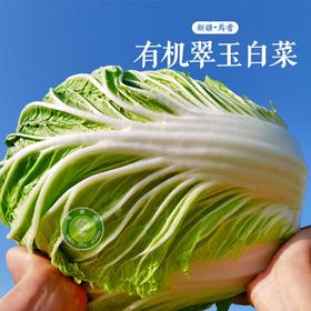 白菜新鲜有机翠玉白菜新疆半亩园有机农场整颗大白菜新鲜蔬菜 8斤