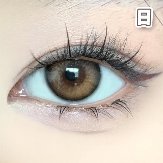 #微光晨曦 14.2mm 8.5基弧【10片装】国产精品 / 日抛 商品图0