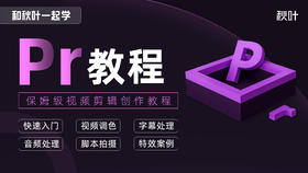 和秋叶一起学PR剪辑