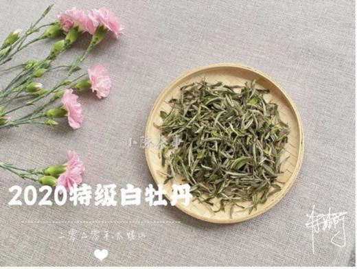 【收藏装】2020高山牡丹王《春望》，倒春寒里难得的盛世美颜！ 商品图1