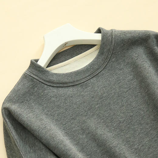 TG-TG03S276真丝拉绒圆领卫衣女秋冬慵懒风高级感宽松厚桑蚕丝上衣外套 商品图1