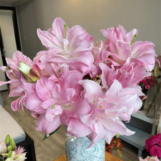 双钻多头重瓣百合5支 商品图0