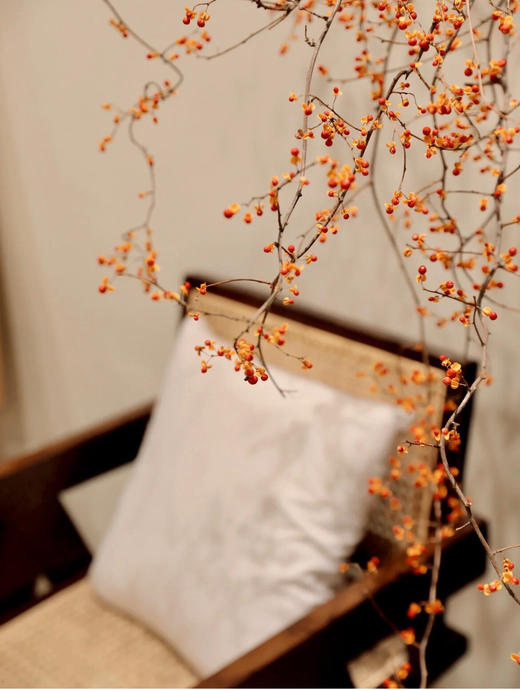 国产南蛇藤【一切都会好起来的】简小姐精选极具空间感 ins风花材 南蛇藤1束 中通包邮 商品图5