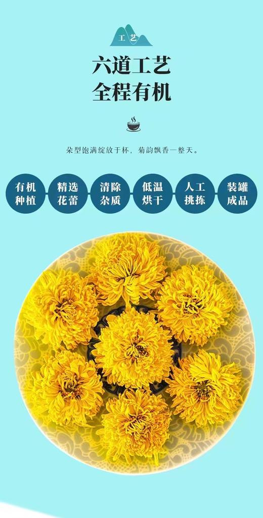 春华秋实系列  有机皇菊花茶 商品图2