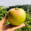 青森水蜜桃苹果，浓香脆甜，水蜜桃般汁水充沛，口感酥脆，细细沙沙不绵软 商品缩略图1
