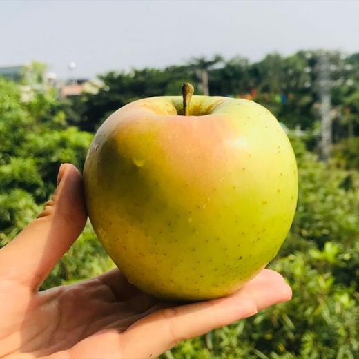 青森水蜜桃苹果，浓香脆甜，水蜜桃般汁水充沛，口感酥脆，细细沙沙不绵软 商品图1