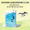 运河少年 顾正宇 著 儿童文学 商品缩略图2