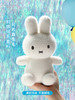 【米舍】Miffy米菲兔子毛绒绒玩具娃娃创意玩偶公仔 商品缩略图5