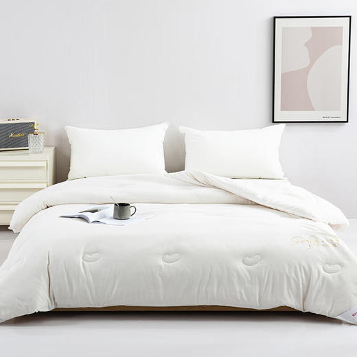 红蜻蜓原棉大豆被HQT-2002 商品图2