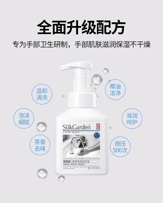 蔬果园茶香泡泡洗手液(两瓶)500ml*2 商品图0