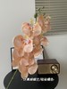 【年宵仿真花】仿真花7头3D蝴蝶兰/ 超多新色 商品缩略图5