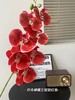 【年宵仿真花】仿真花7头3D蝴蝶兰/ 超多新色 商品缩略图7