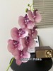 【年宵仿真花】仿真花7头3D蝴蝶兰/ 超多新色 商品缩略图8