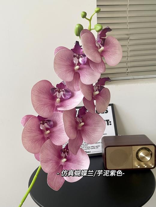 【年宵仿真花】仿真花7头3D蝴蝶兰/ 超多新色 商品图8