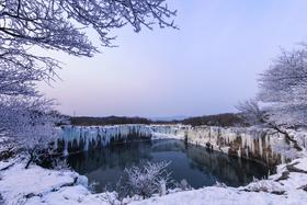 龙江行—冰雪奇缘：伊春小兴安岭、扎龙丹顶鹤、五大连池、库尔滨雾凇、东北虎捕食、镜泊湖冰瀑7——9天