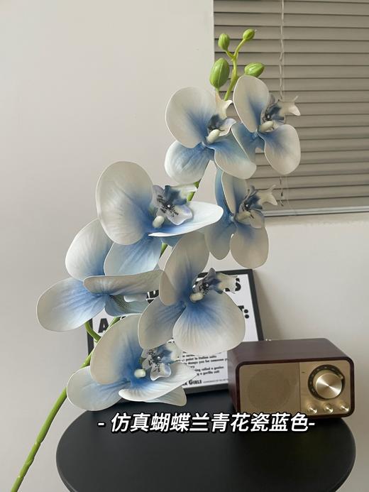 【年宵仿真花】仿真花7头3D蝴蝶兰/ 超多新色 商品图10