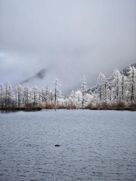 【发起活动】毕棚沟二日游 | 18人成团 | 从彩林到雪山的冰雪之旅～