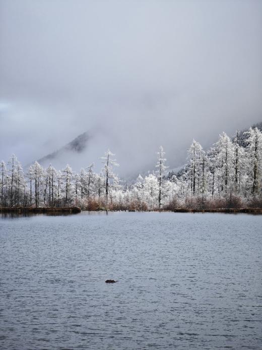 【发起活动】毕棚沟二日游 | 18人成团 | 从彩林到雪山的冰雪之旅～ 商品图0