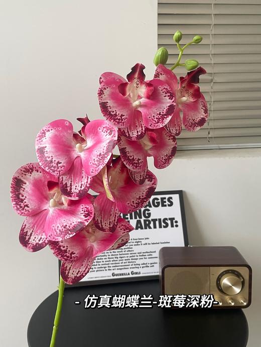【年宵仿真花】仿真花7头3D蝴蝶兰/ 超多新色 商品图9