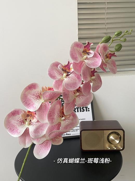 【年宵仿真花】仿真花7头3D蝴蝶兰/ 超多新色 商品图1