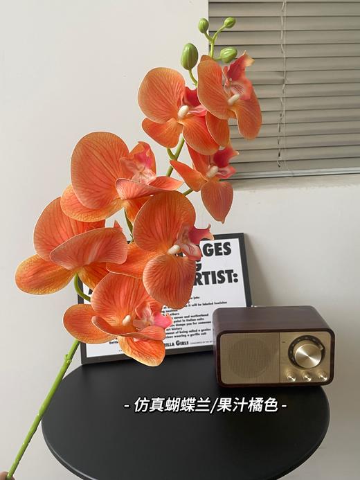 【年宵仿真花】仿真花7头3D蝴蝶兰/ 超多新色 商品图2
