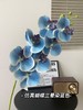 【年宵仿真花】仿真花7头3D蝴蝶兰/ 超多新色 商品缩略图4