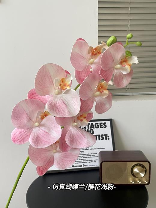 【年宵仿真花】仿真花7头3D蝴蝶兰/ 超多新色 商品图3