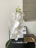 【年宵仿真花】仿真花7头3D蝴蝶兰/ 超多新色 商品缩略图11