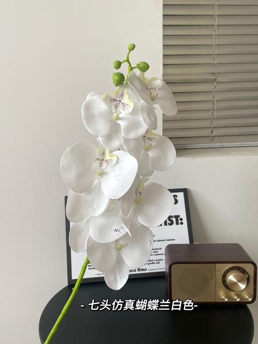 【年宵仿真花】仿真花7头3D蝴蝶兰/ 超多新色 商品图11