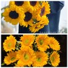 【幸福感爆棚的向日葵组合】黑心中花向日葵5支+绿心小花向日葵5支 商品缩略图0