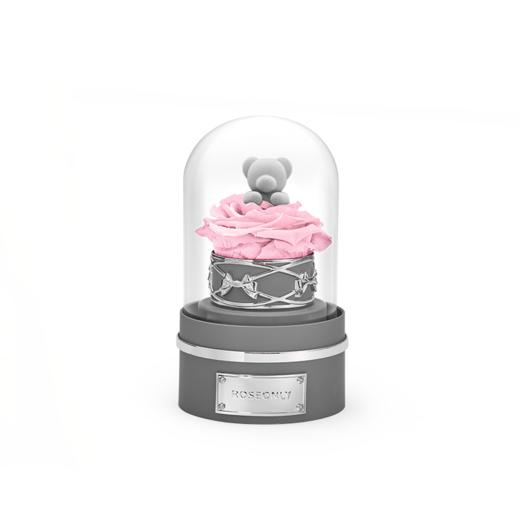 【音乐钟罩】ROSEONLY诺誓 永生玫瑰 公仔钟罩音乐球 兔 熊 独角兽款 钟罩音乐球 送朋友送家人 商品图2