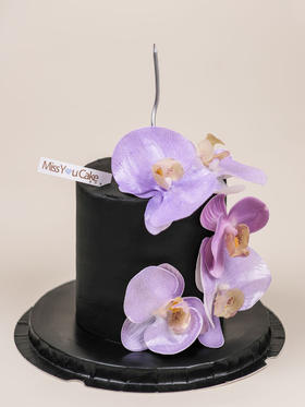 设计师系列 - 蝴蝶兰