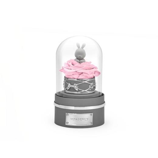 【音乐钟罩】ROSEONLY诺誓 永生玫瑰 公仔钟罩音乐球 兔 熊 独角兽款 钟罩音乐球 送朋友送家人 商品图1