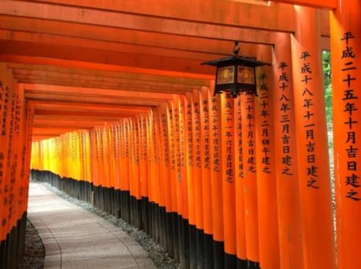 大阪出发 京都一日游 黄金路线 巴士之旅【需二次确认】B-0046 商品图2