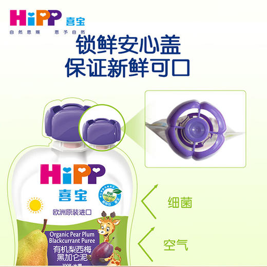 喜宝 有机果泥 100g/袋 商品图3