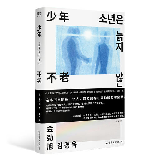 《少年不老》（从小被否定的人，永远活在自己世界的“少年”。9个短故事，堪称东亚都市神经症人格大全） 商品图3