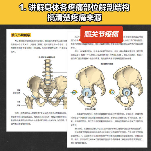 重返巅峰 力量训练者伤后功能重建与能力发展 肌骨重建Rebuilding Milo 健身运动康复训练书籍 损伤缓解攻略 商品图2