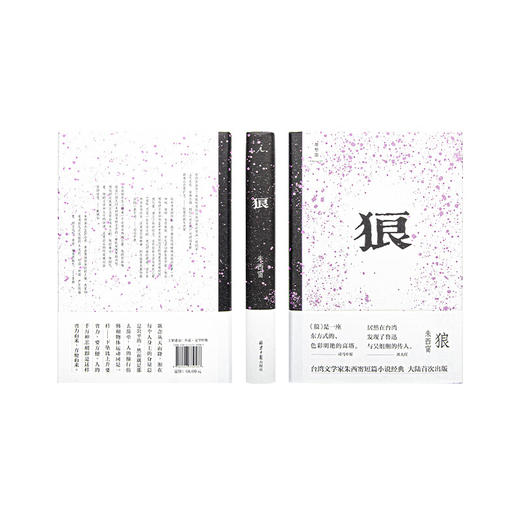 狼 朱西甯 著 短篇小说 商品图2