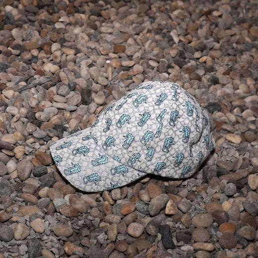 Dainty鸭舌帽 商品图1