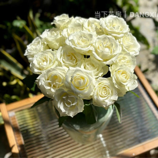 【AB级骄傲玫瑰.第二件减10元】10支/份 长约60-65cm 商品图0