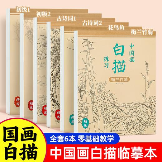 【福利】中国画白描全套6册白描动物花卉人物控笔临摹画册绘画国画山水画临摹描摹 商品图0