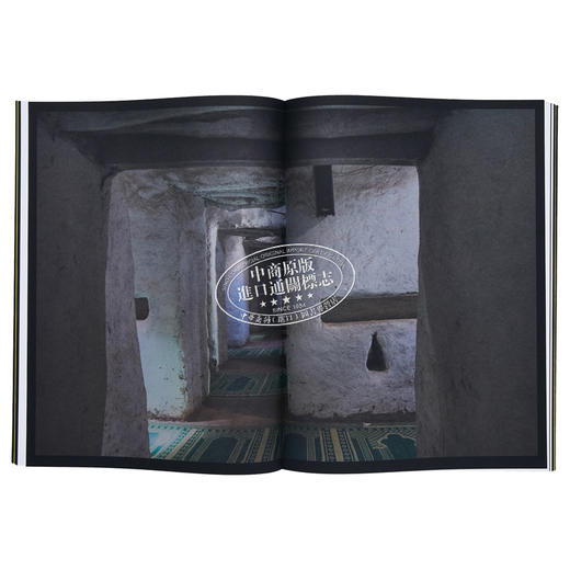 【中商原版】Momentum of Light 进口艺术 光的动力 商品图5