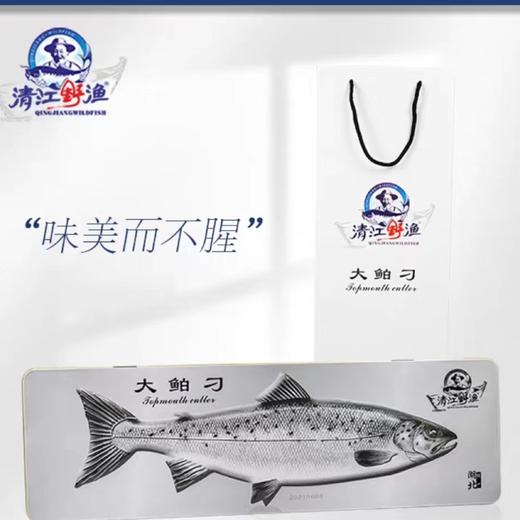 清江野渔大鲌刁600g 商品图0