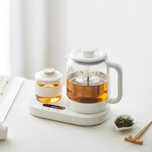 olayks欧莱克养生壶小型办公室恒温家用多功能玻璃烧水壶煮茶壶 商品图5